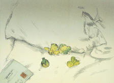 �C���X�g���[�V�����@(C) AMANO